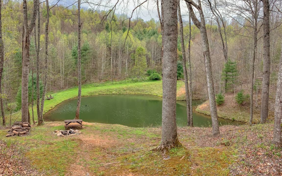 Photo of Others in Grassy Creek