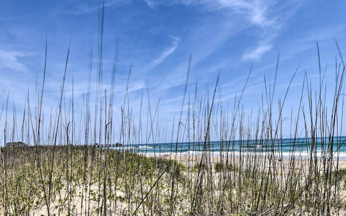 Photo of Others in South Nags Head