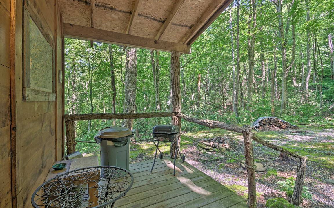 Photo of Patio Balcony in Barnardsville