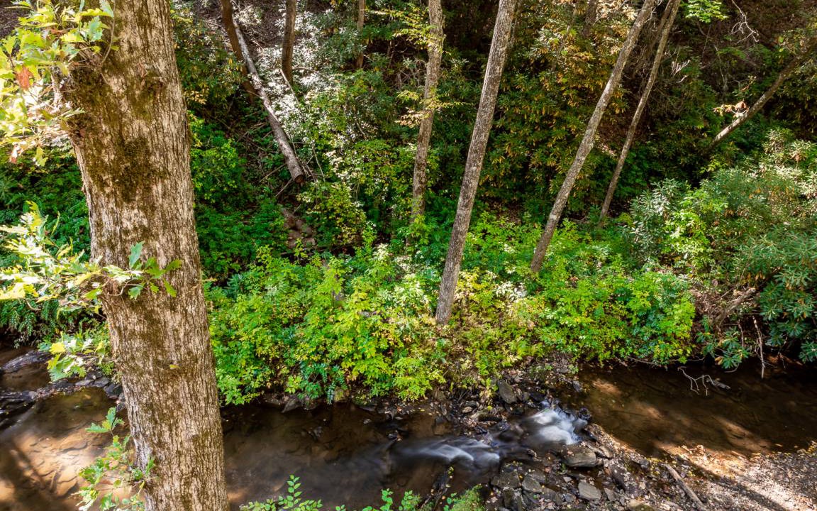 Photo of Others in Lake Toxaway