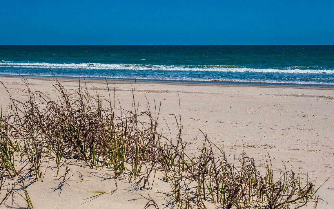 Photo of Others in Topsail Beach