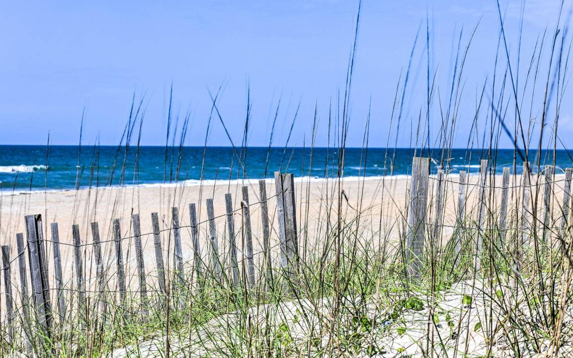 Photo of Others in Atlantic Beach