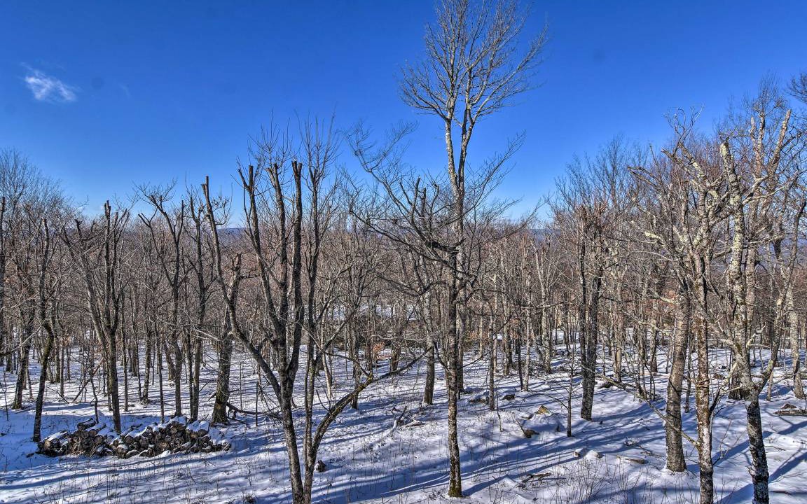 Photo of Others in Beech Mountain