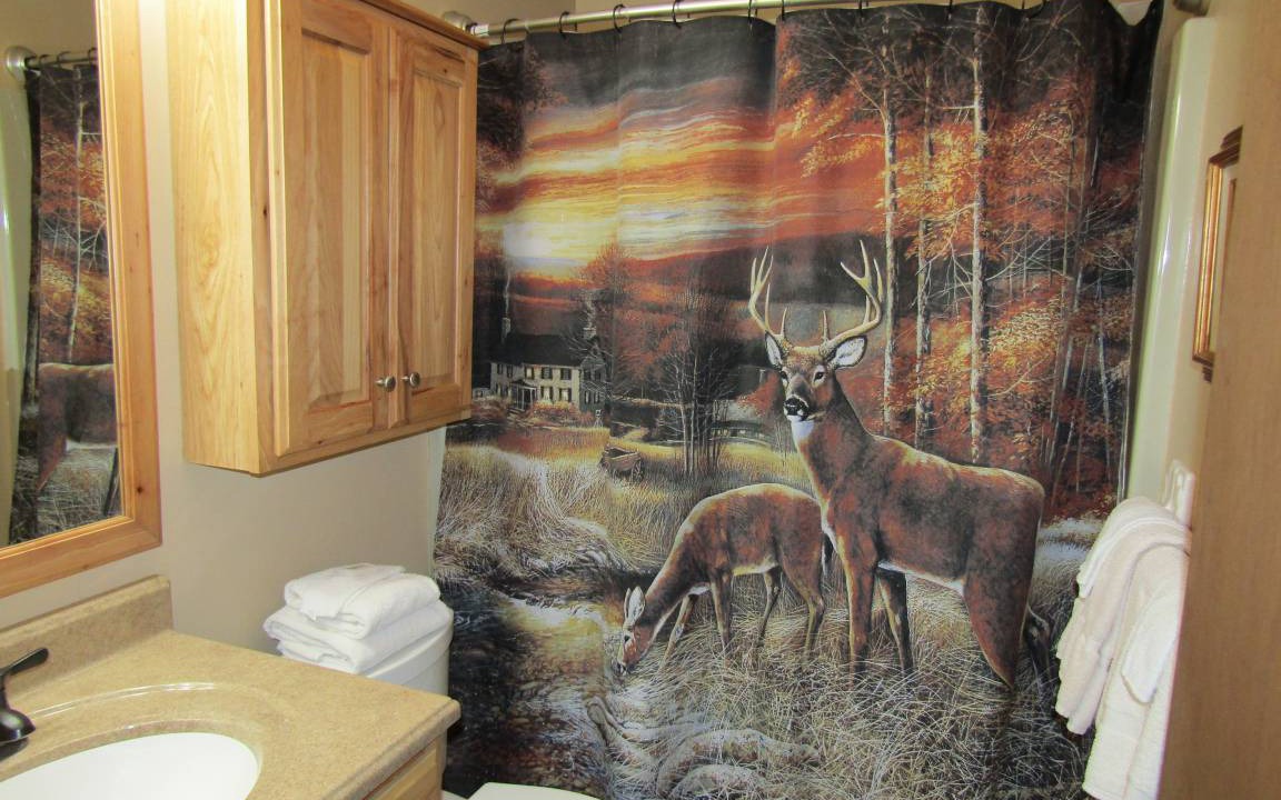 Photo of Bathroom in Banner Elk