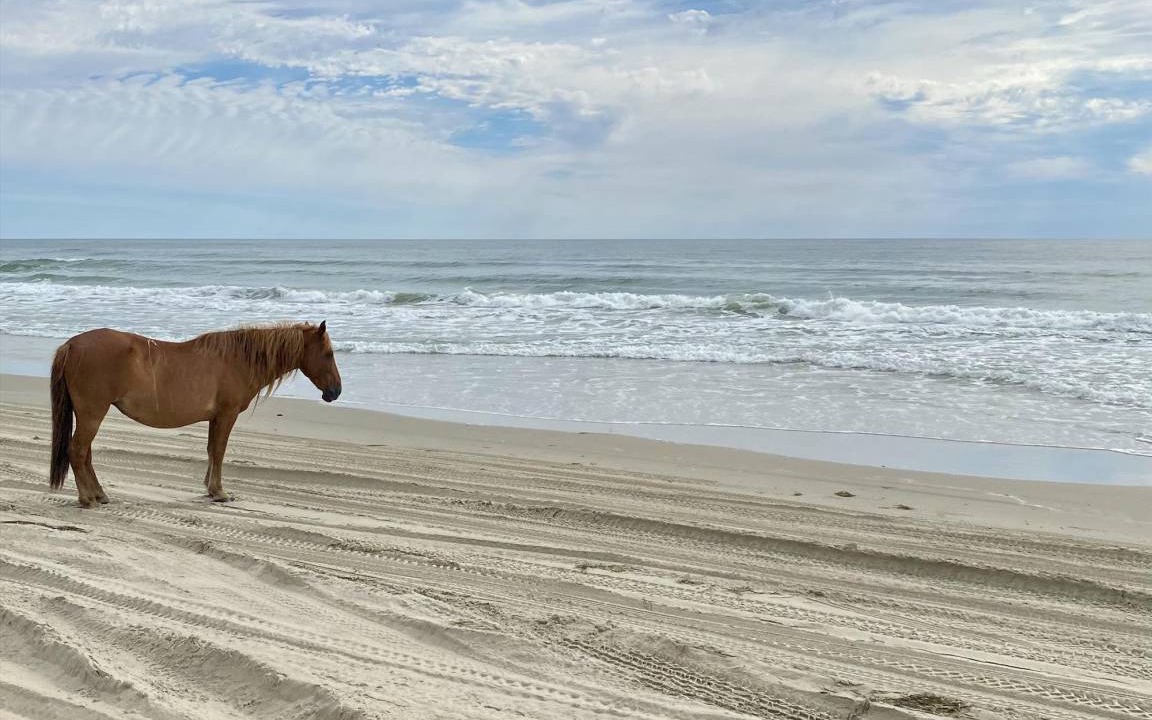 Photo of Others in Ocean Sands