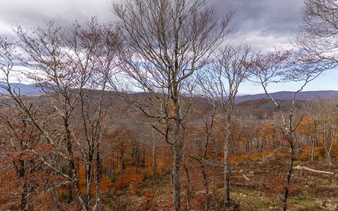 Photo of Others in Sugar Mountain