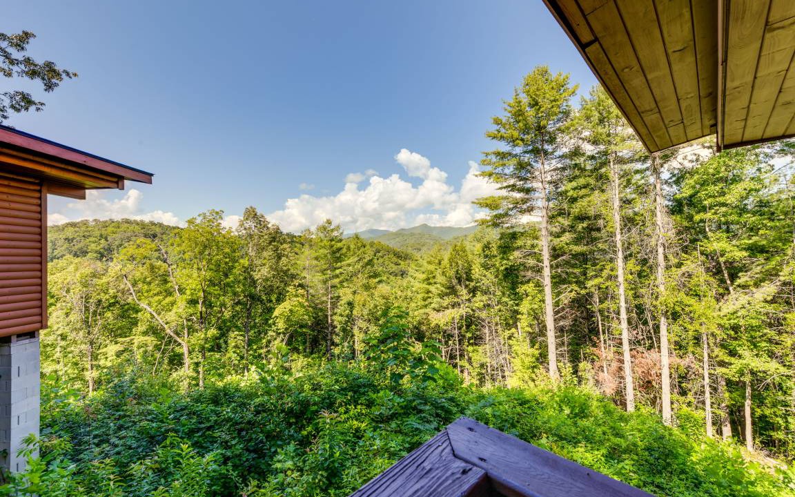 Photo of Others in Bryson City