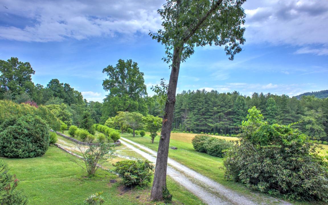 Photo of Others in Hendersonville