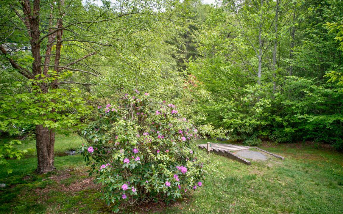 Photo of Others in Blowing Rock