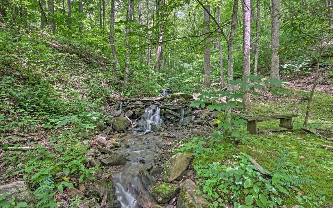 Photo of Others in Barnardsville