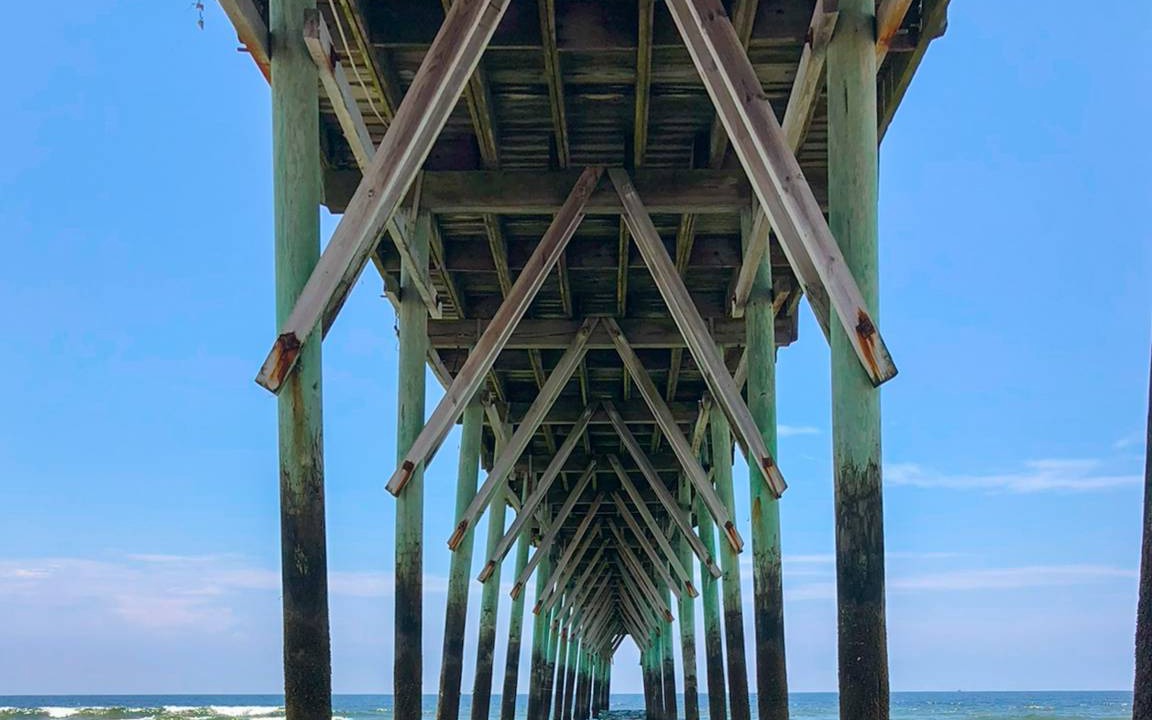 Photo of Others in Sea Trail