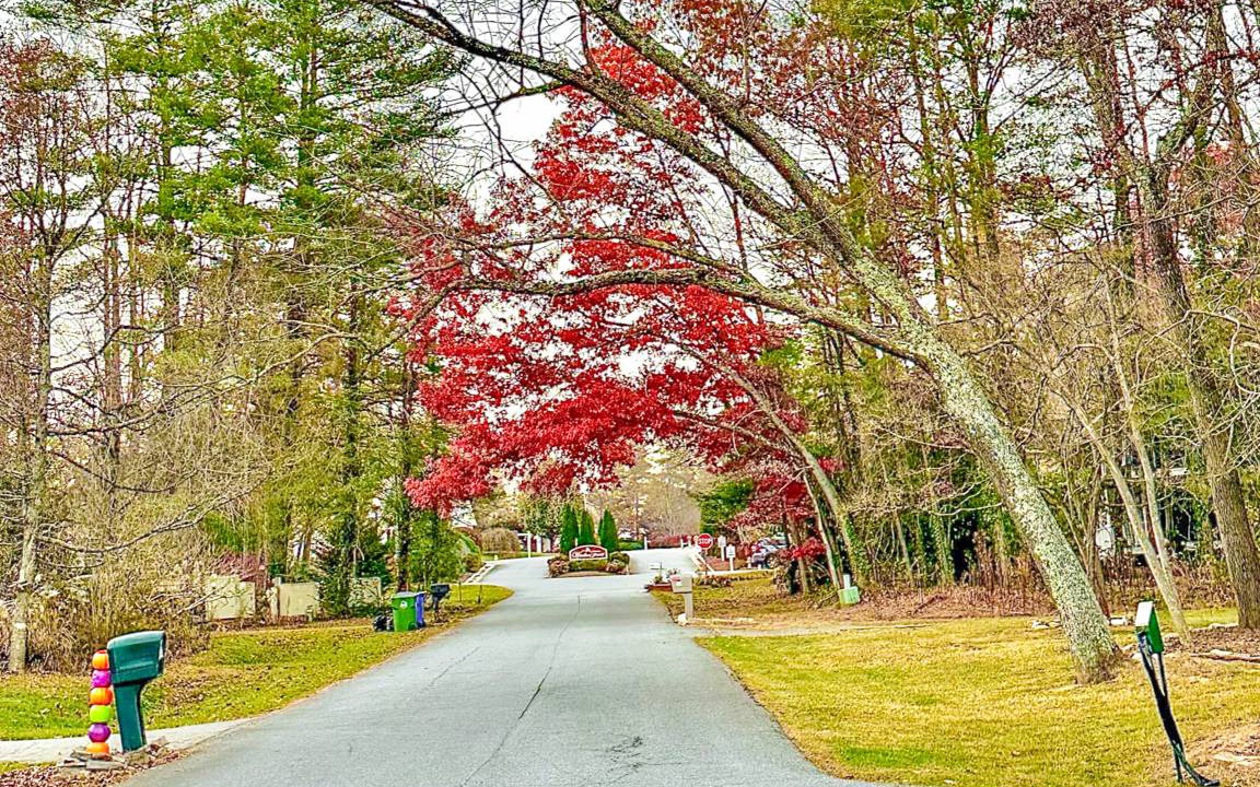 Photo of Others in Fletcher