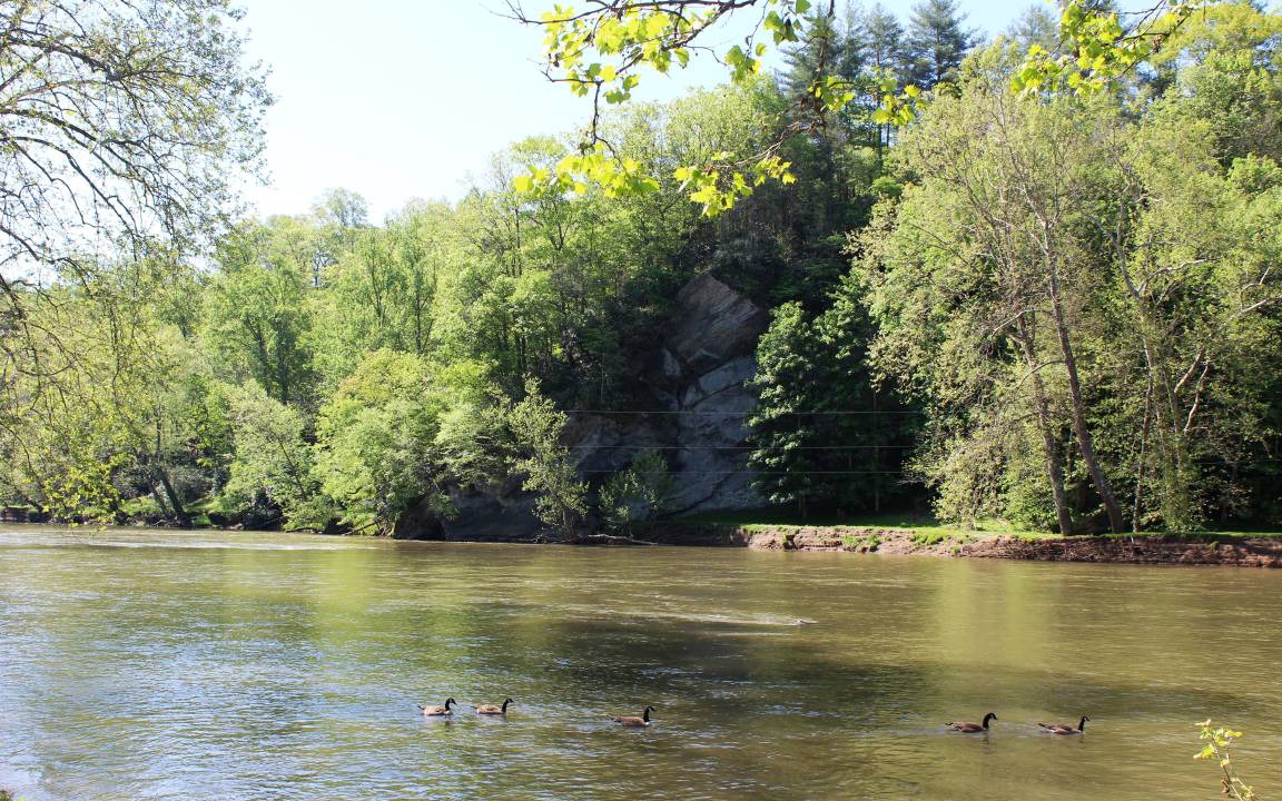 Photo of Others in Grassy Creek
