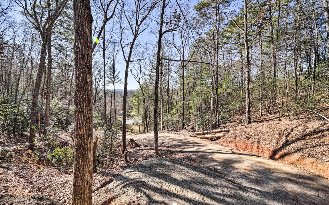 Photo of Others in Pisgah Forest