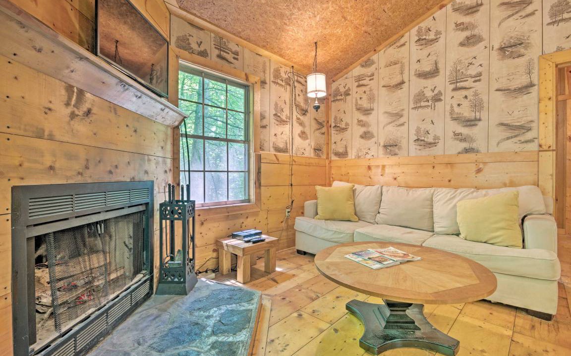 Photo of Livingroom in Barnardsville