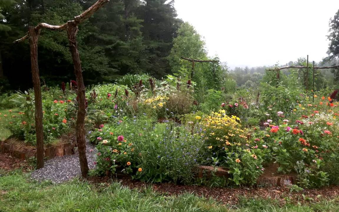Photo of Others in Weaverville