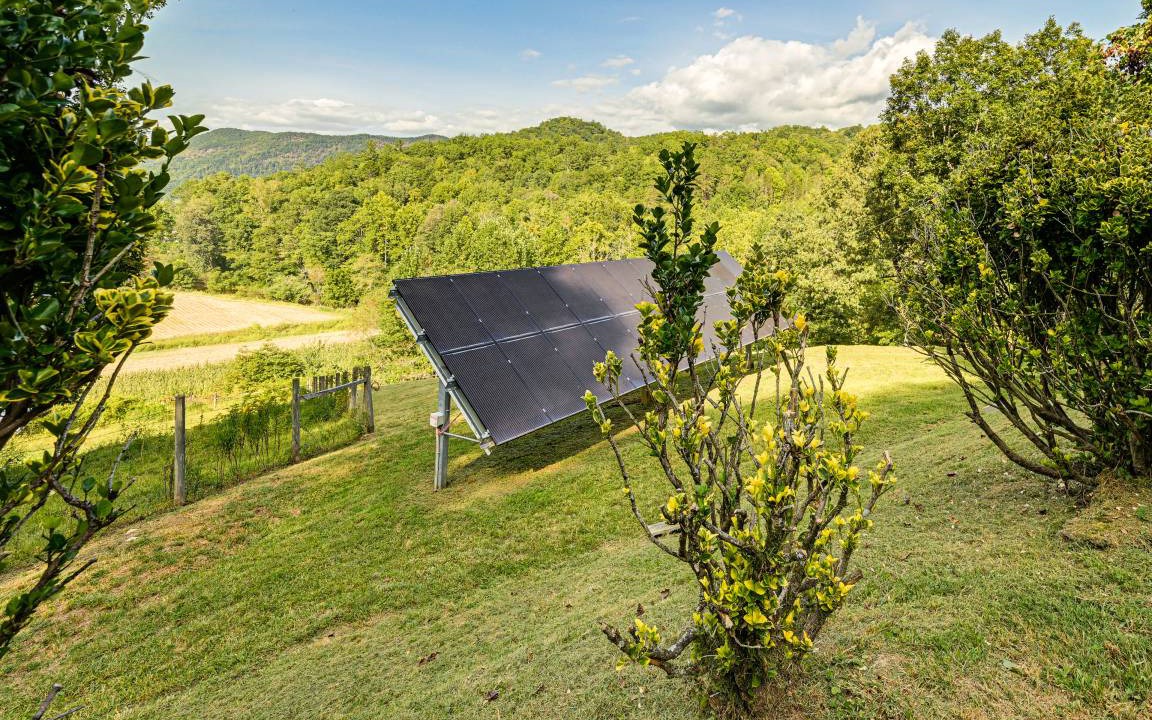 Photo of Others in Tuckasegee