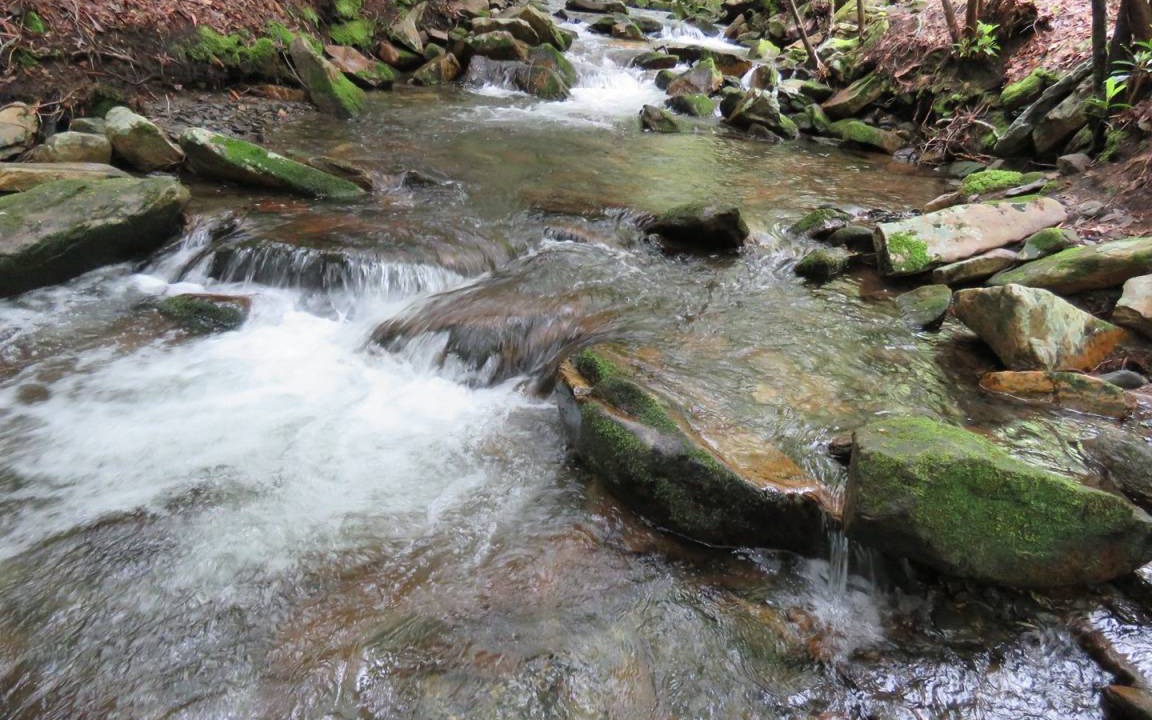 Photo of Others in Robbinsville