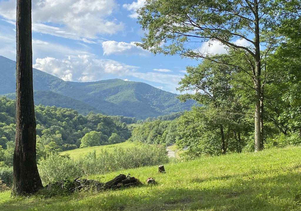 Photo of Others in West Jefferson