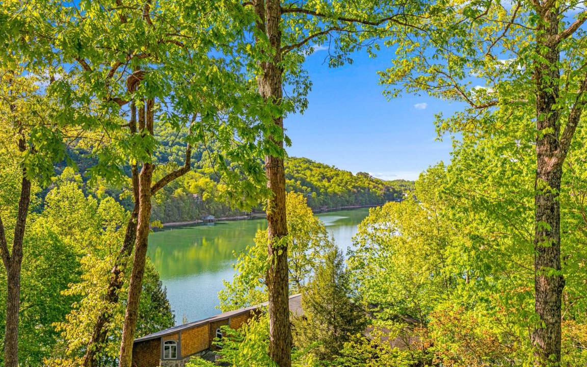 Photo of Others in Lake Lure
