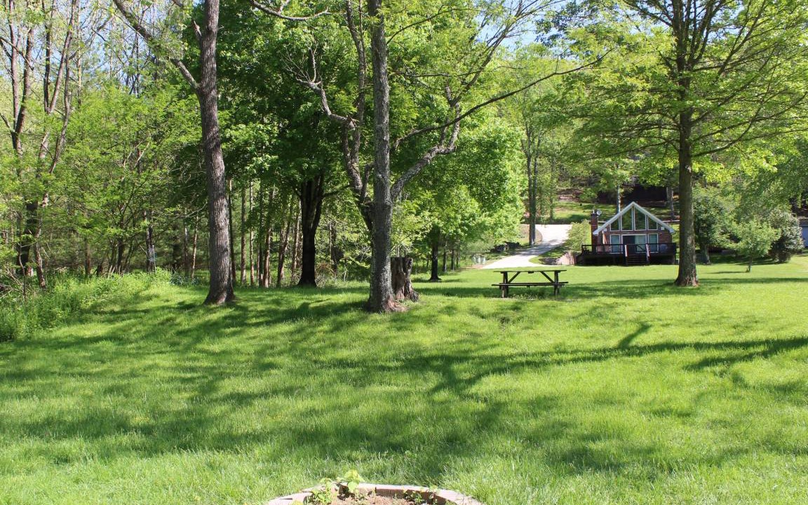 Photo of Others in Grassy Creek