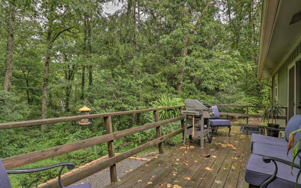 Photo of Others in Pisgah Forest