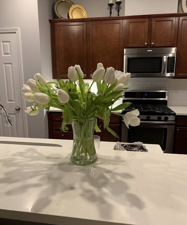 Photo of Kitchen in Northeast Raleigh
