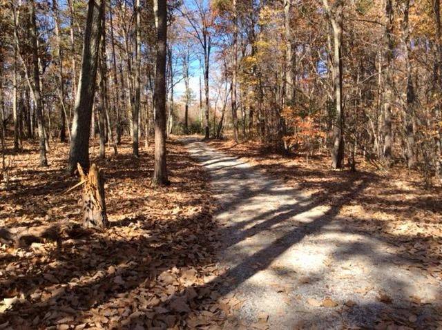 Photo of Outdoor in Kings Mountain