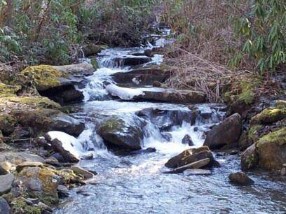 Photo of Outdoor in Robbinsville