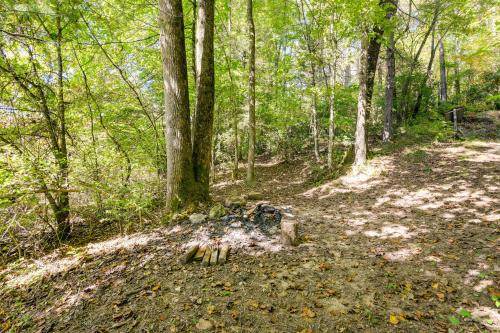 Photo of Outdoor in Asheville