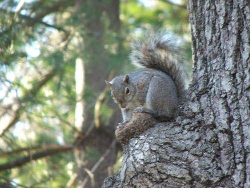 Photo of Others in Asheville