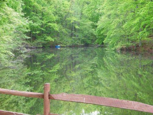 Photo of Others in Mocksville