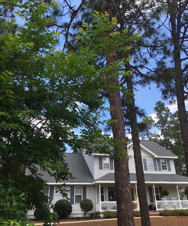 Photo of Others in Pinehurst