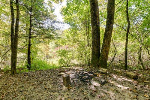Photo of Outdoor in Asheville