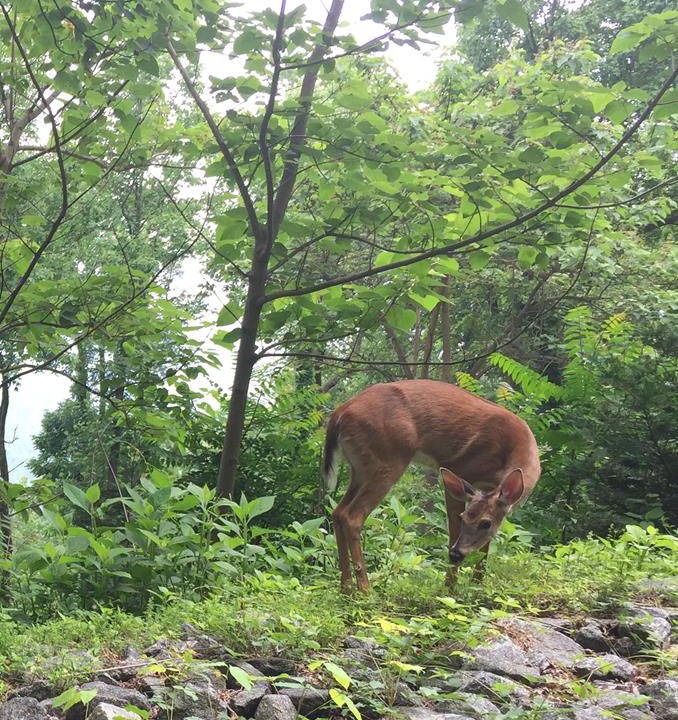 Photo of Others in Lynn
