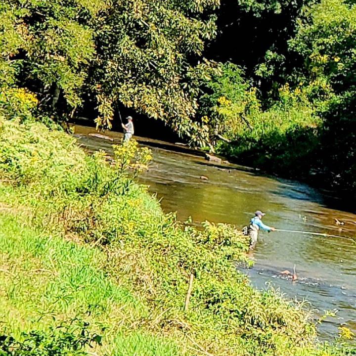 Photo of Others in Sugar Grove
