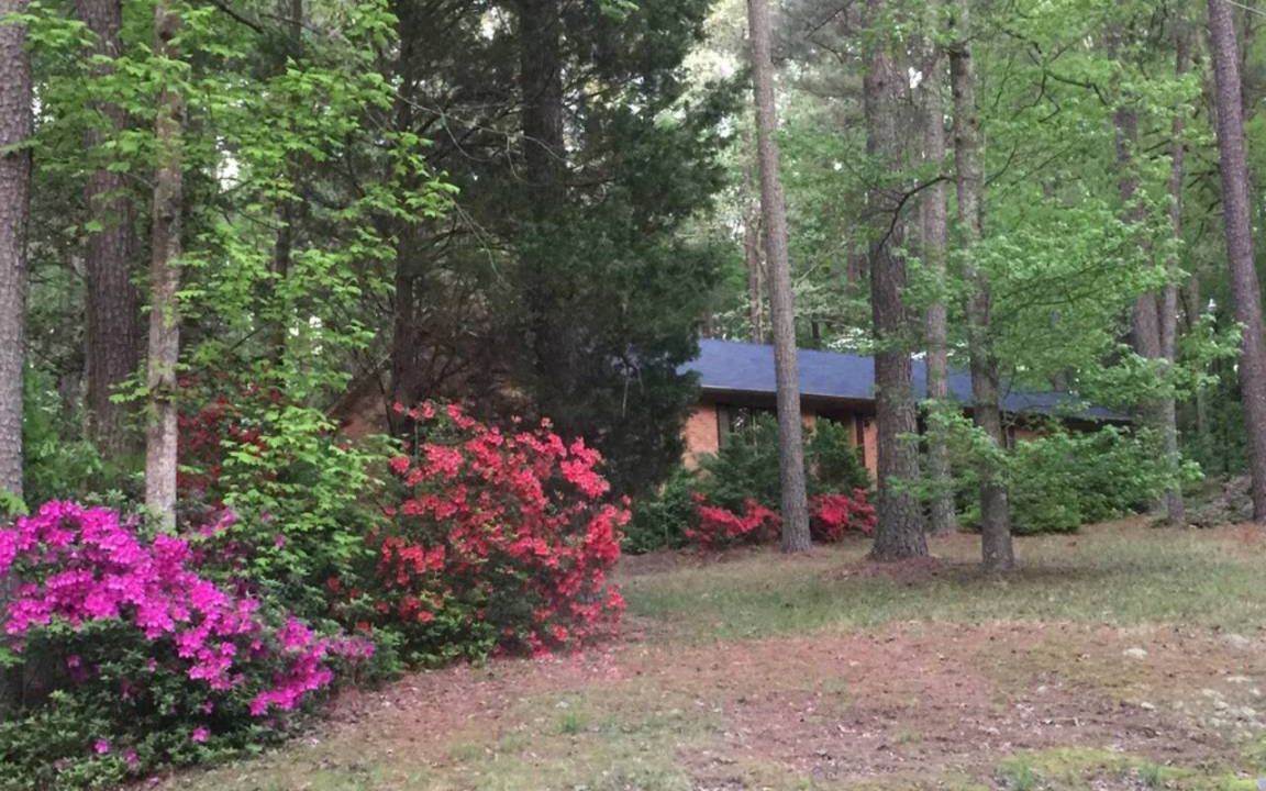 Photo of Others in Cary