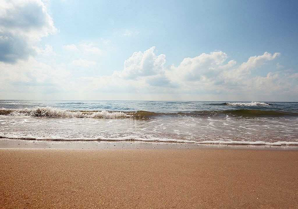 Photo of Outdoor in North Carolina Coast