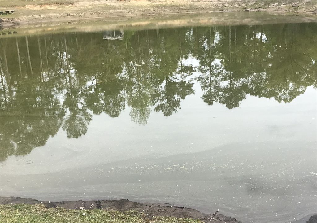 Photo of Others in New Bern