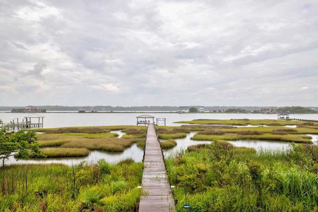 Photo of Others in Cape Island