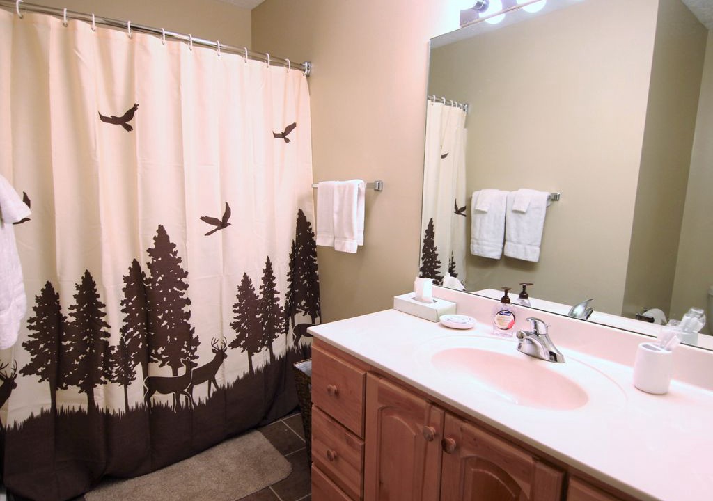 Photo of Bathroom in Foscoe