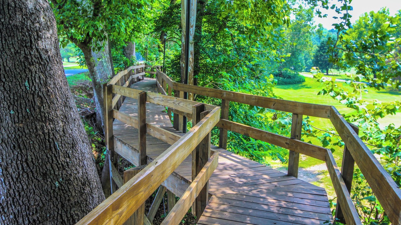 Photo of Outdoor in Lake Lure
