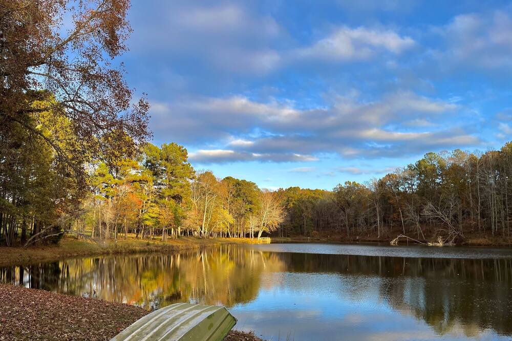 Photo of Others in Wake Forest