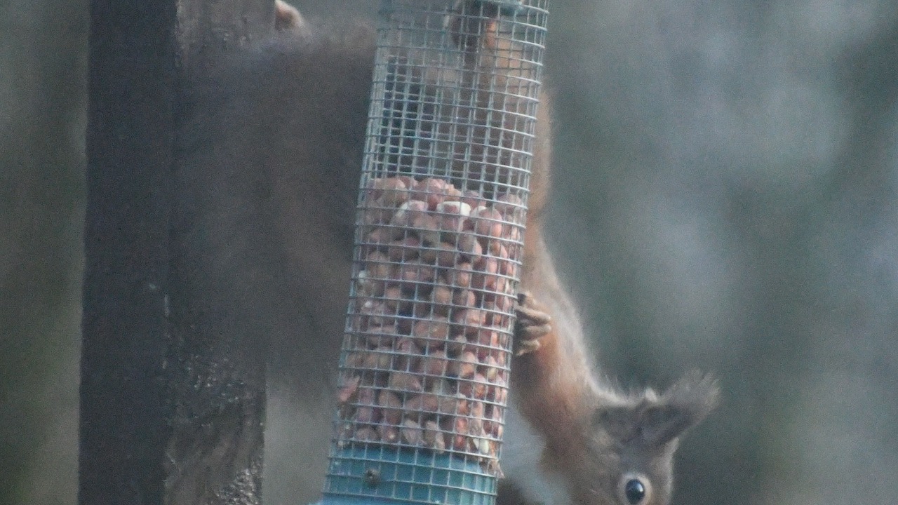 Photo of Others in Taynuilt