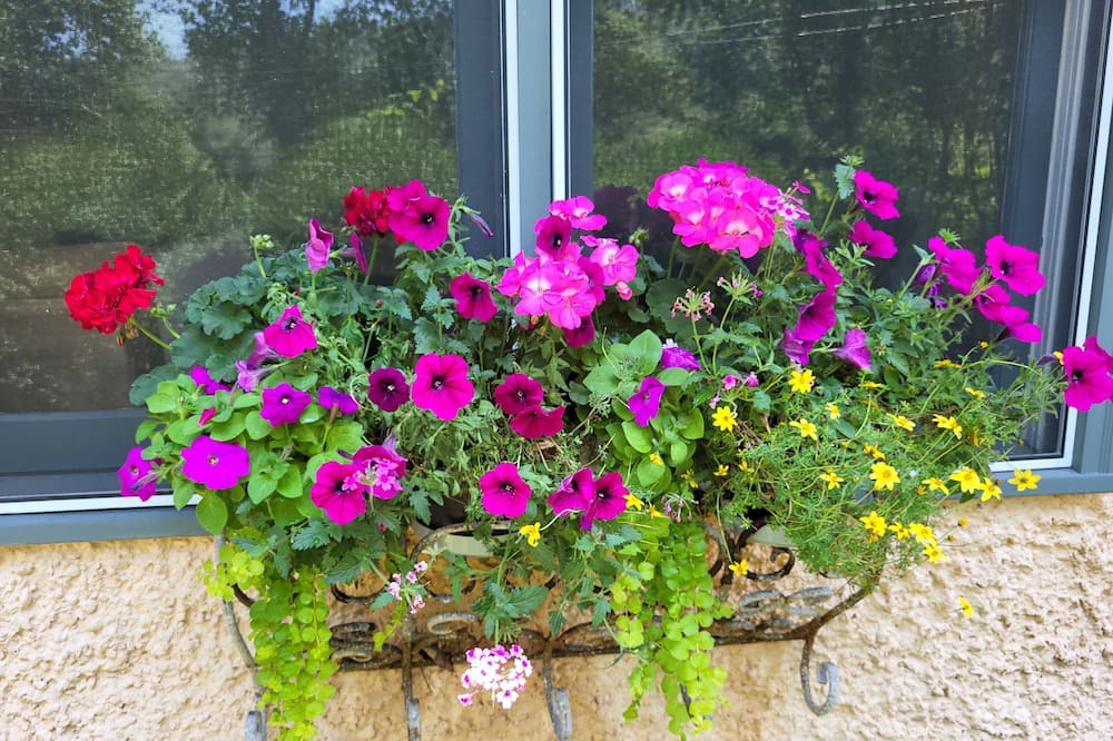 Photo of Outdoor in Gerton