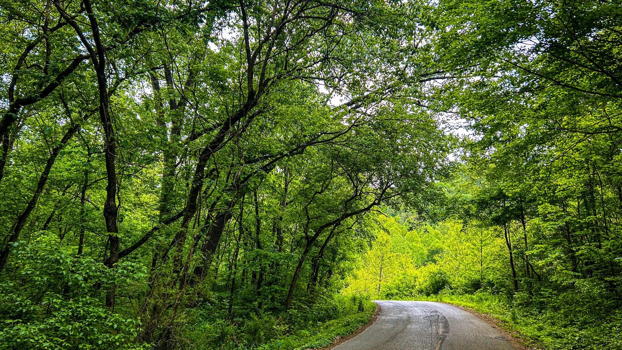Photo of Outdoor in Smithville