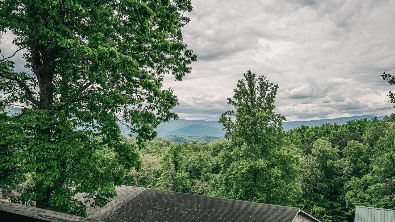 Photo of Others in Bryson City