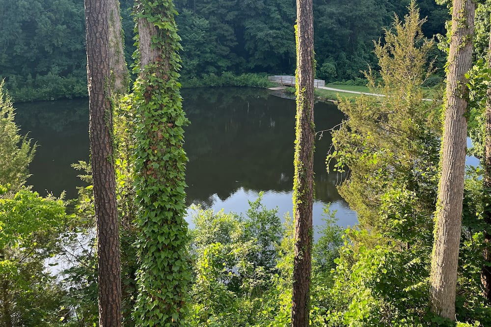 Photo of Outdoor in Crabtree