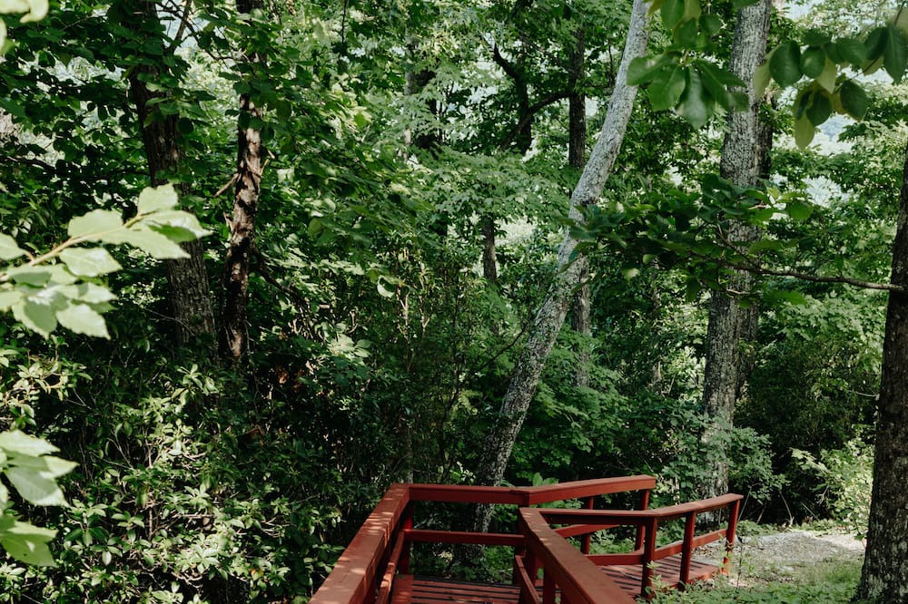 Photo of Outdoor in Bostic