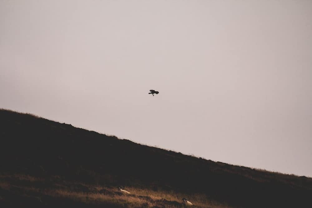 Photo of Others in Blairgowrie